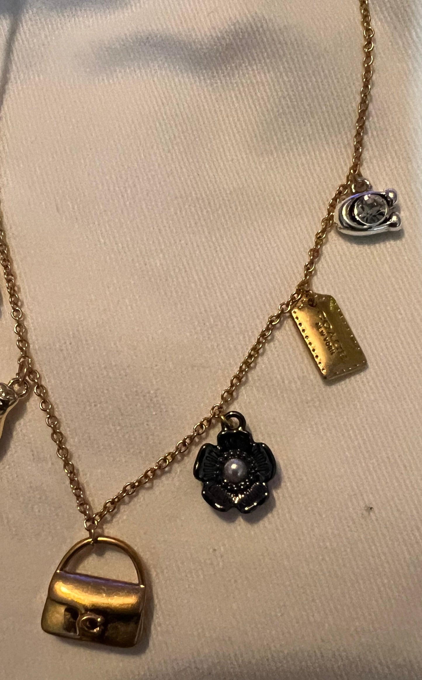 Coach Dainty Charm Necklace