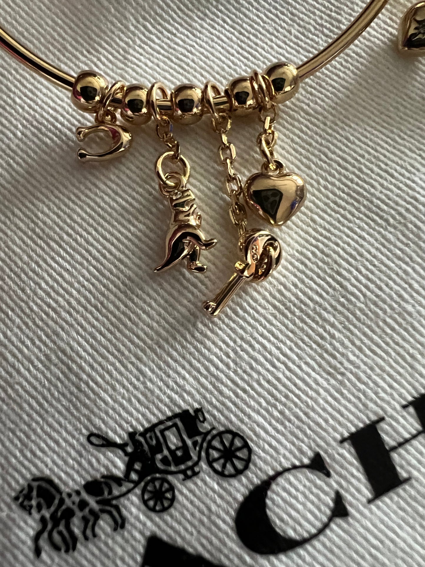Coach Large Hoop Earrings with Charms