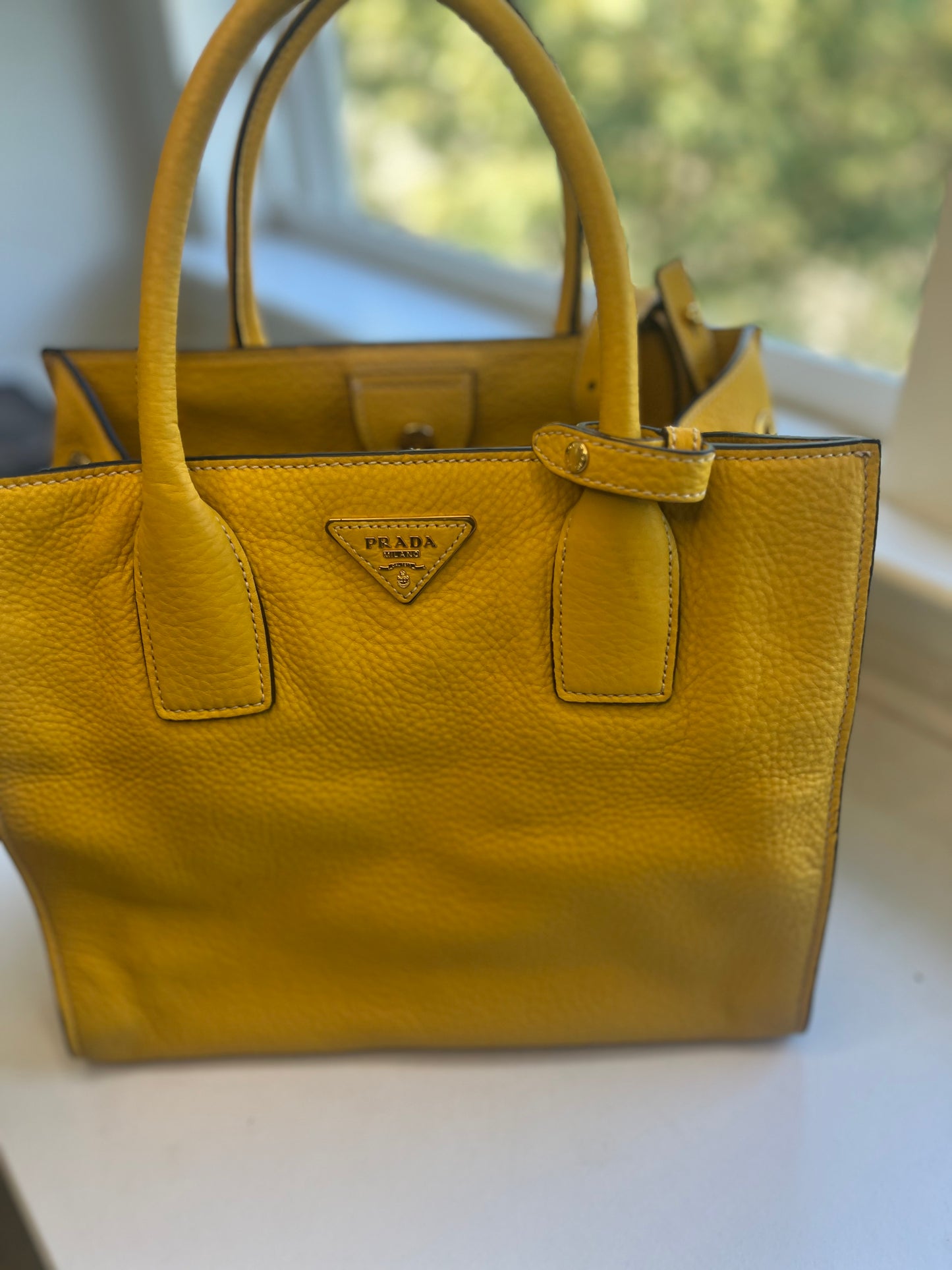 Prada Vitello Diano Tote