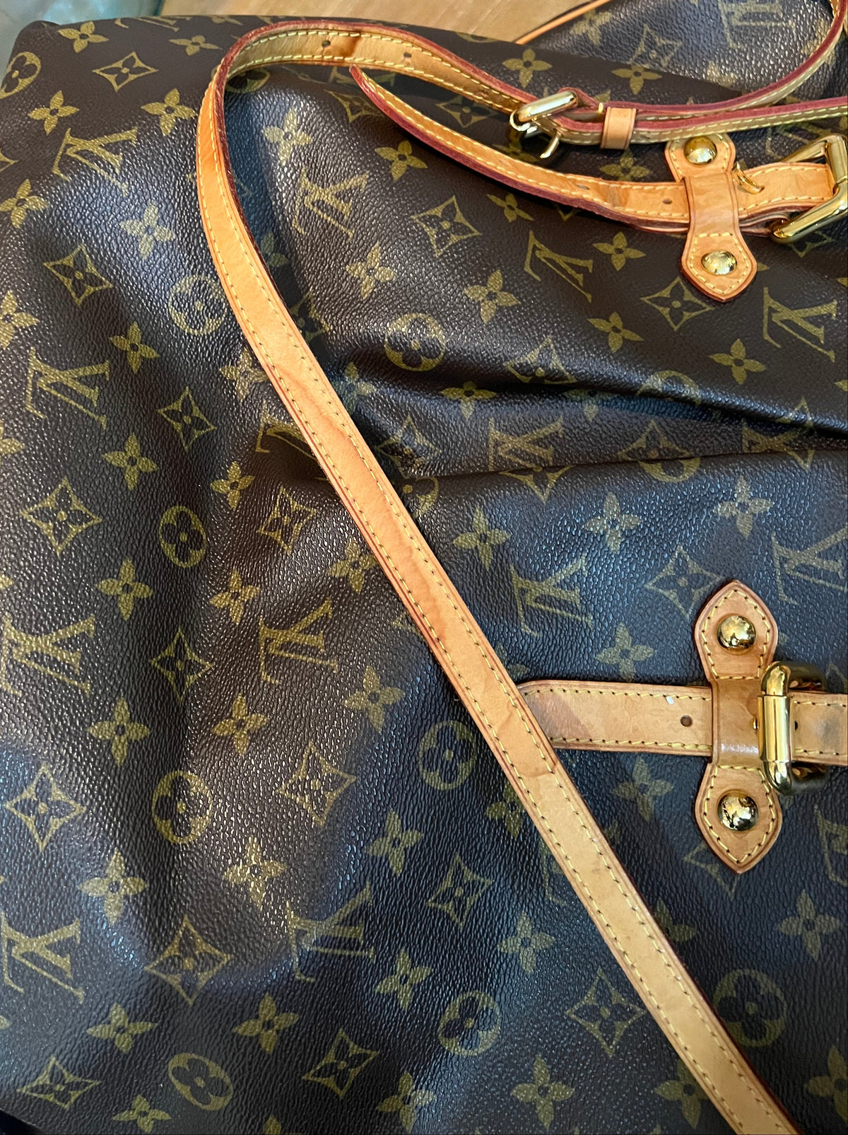 Louis Vuitton Monogram Palermo GM