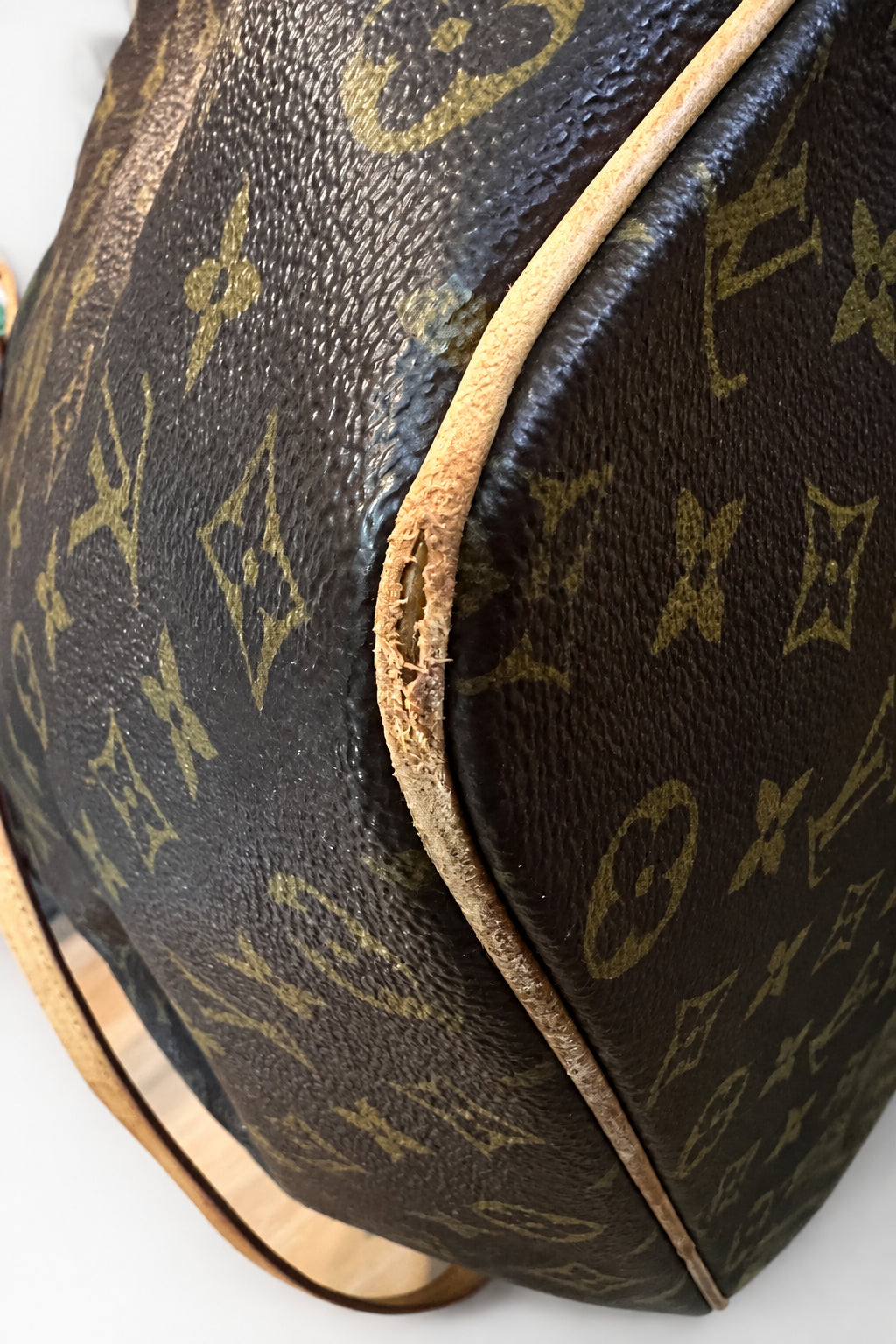 Louis Vuitton Monogram Palermo GM