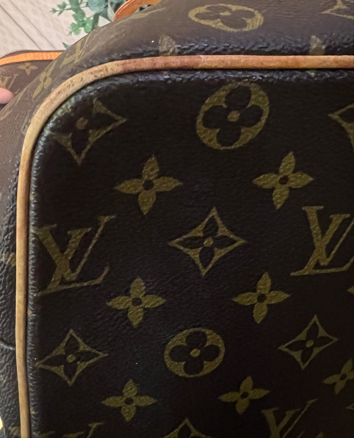 Louis Vuitton Monogram Palermo GM