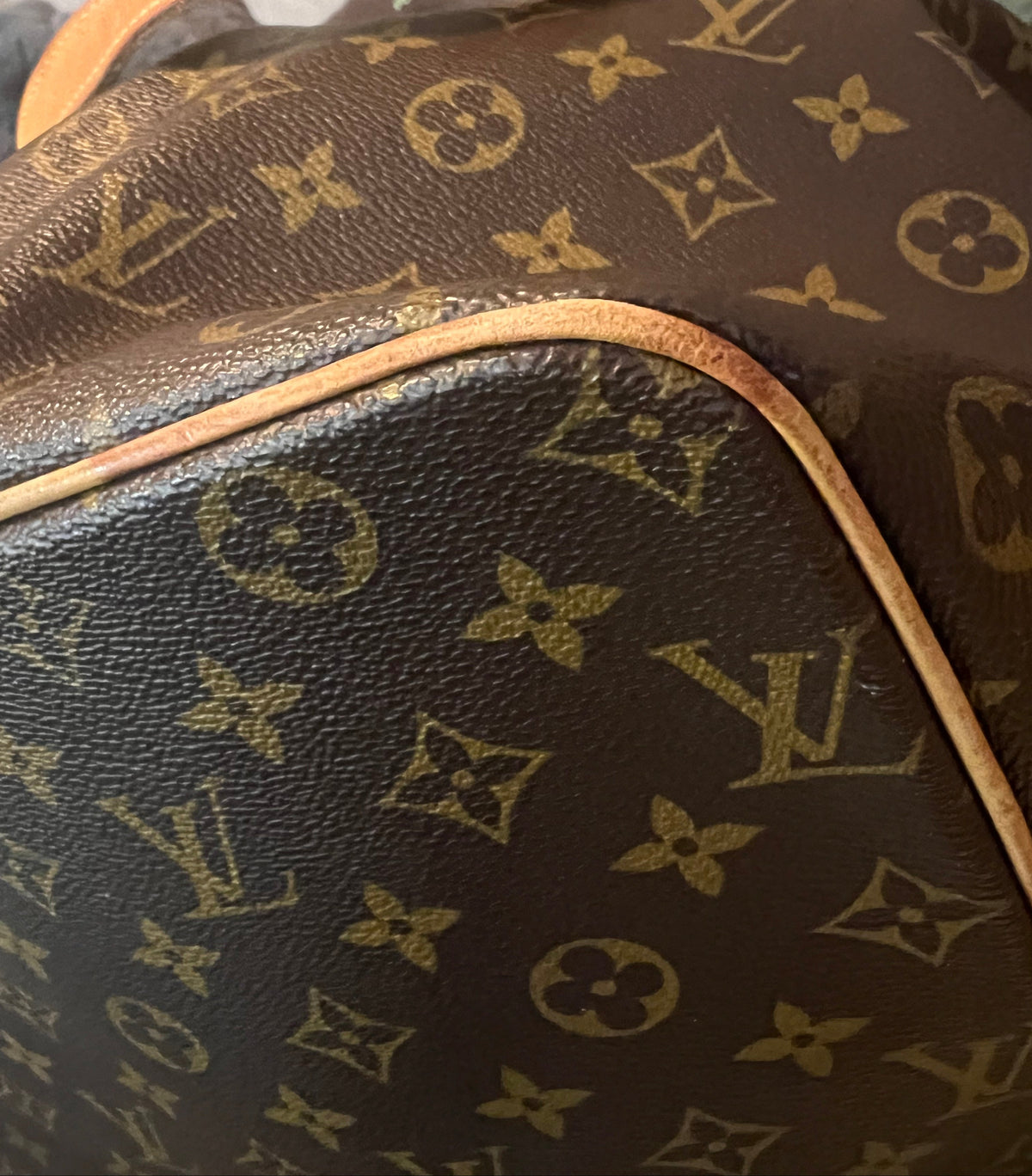 Louis Vuitton Monogram Palermo GM