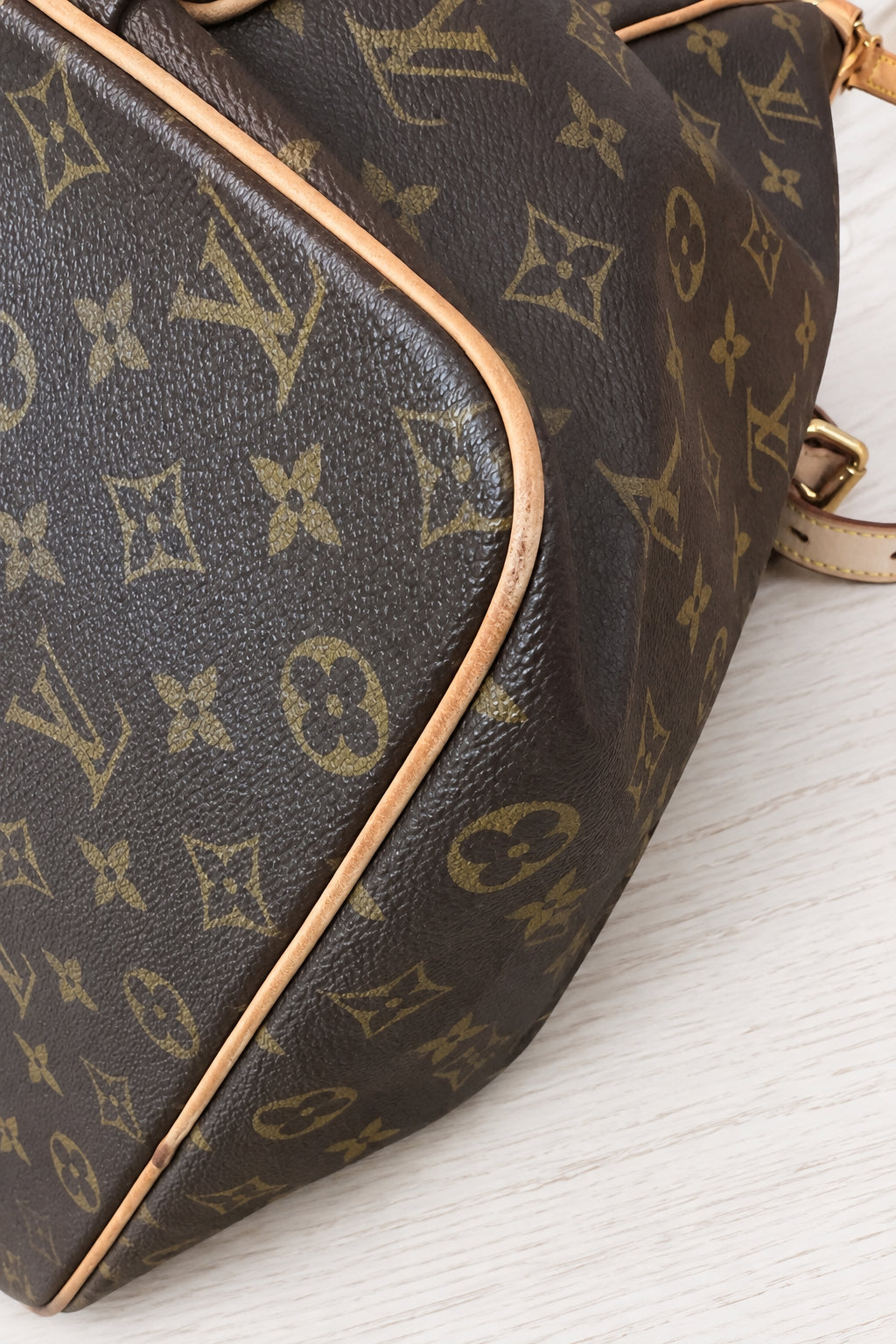 Louis Vuitton Monogram Palermo GM