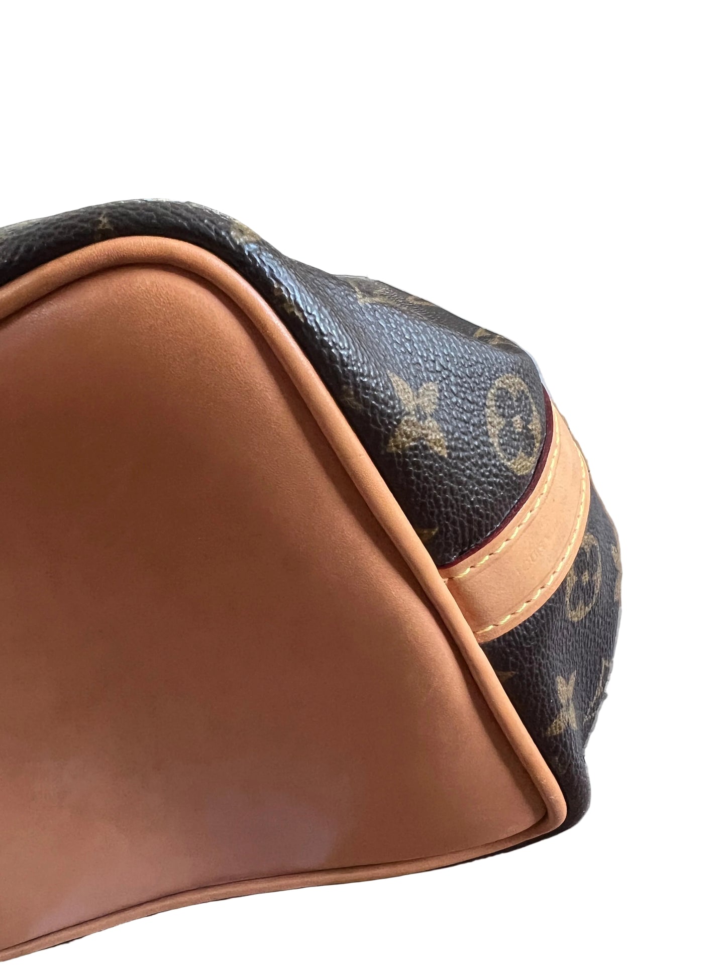 Louis Vuitton Monogram Petit Noe