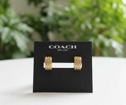 PREVIEW-DROP NEXT TIKTKOK LIVE-Coach Huggie Hoops Gold