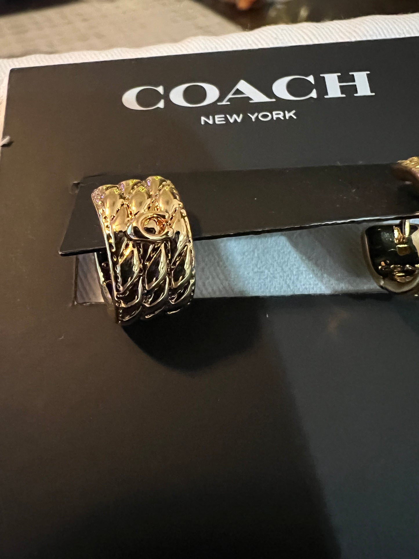 PREVIEW-DROP NEXT TIKTKOK LIVE-Coach Huggie Hoops Gold