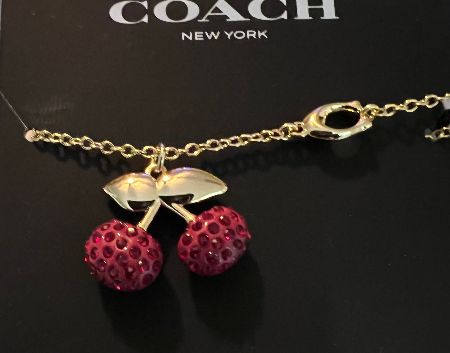 PREVIEW-DROP NEXT TIKTOK LIVE-Coach Cherry Necklace