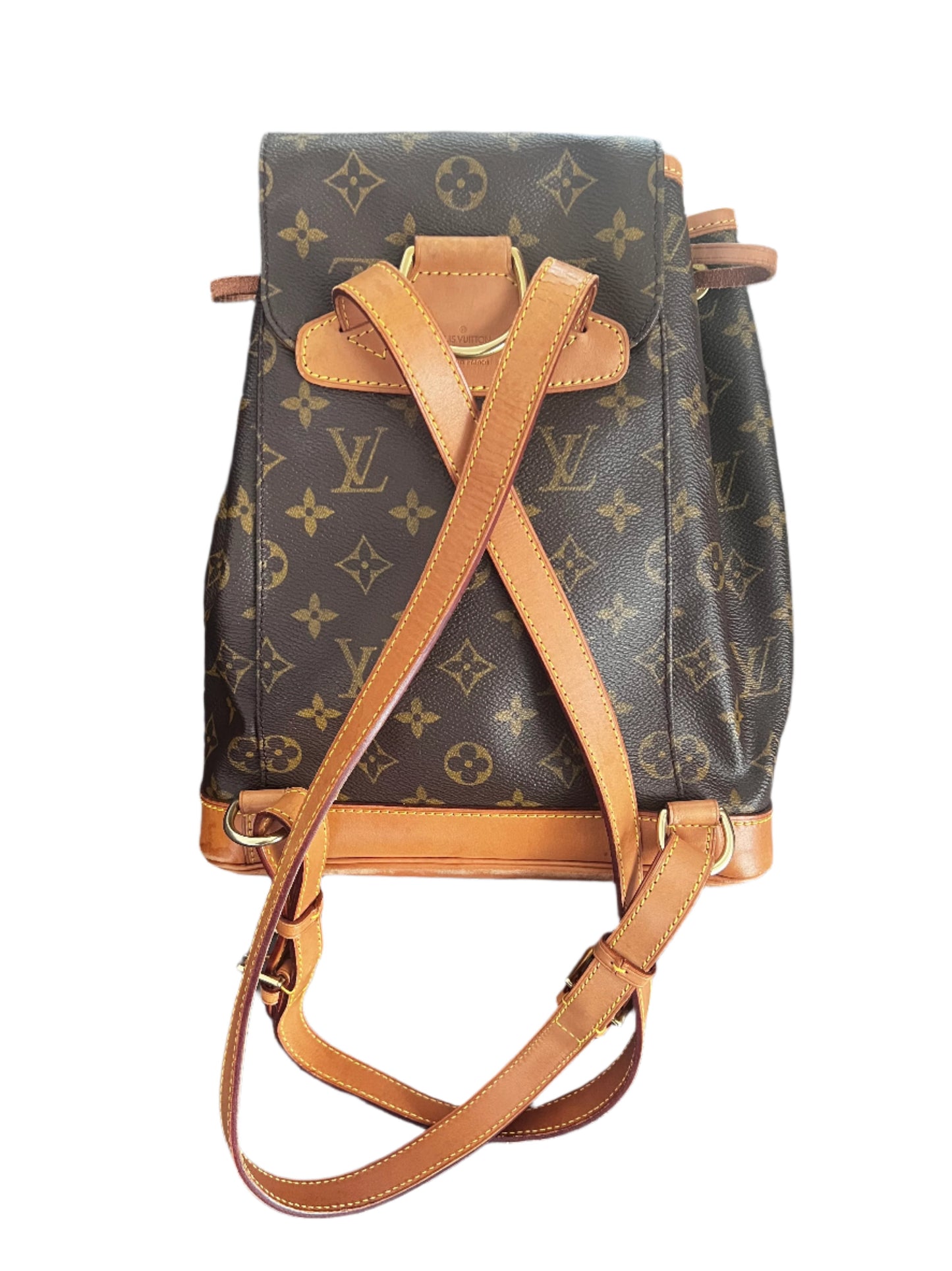 Louis Vuitton Montsouris Backpack MM