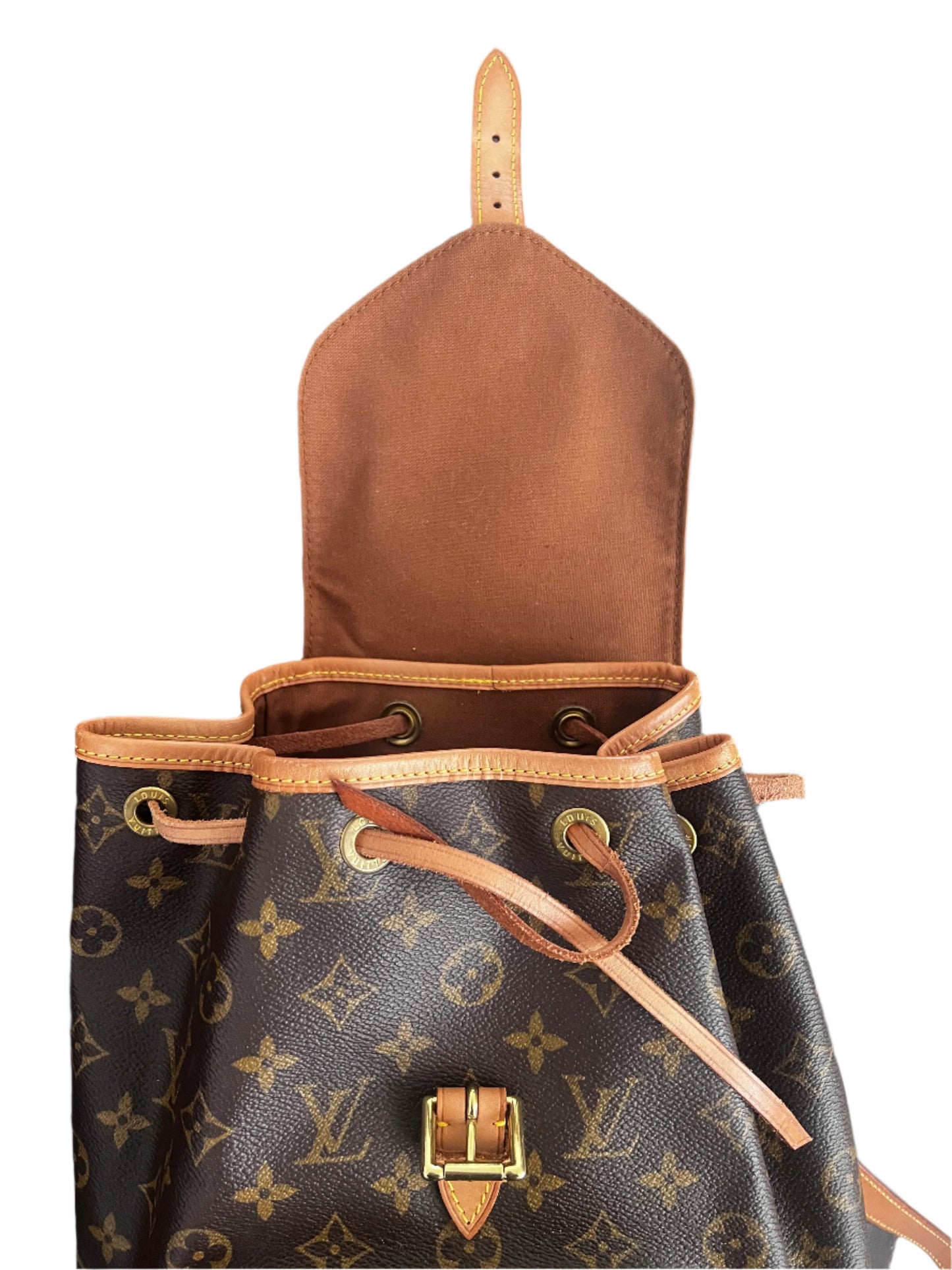 Louis Vuitton Montsouris Backpack MM