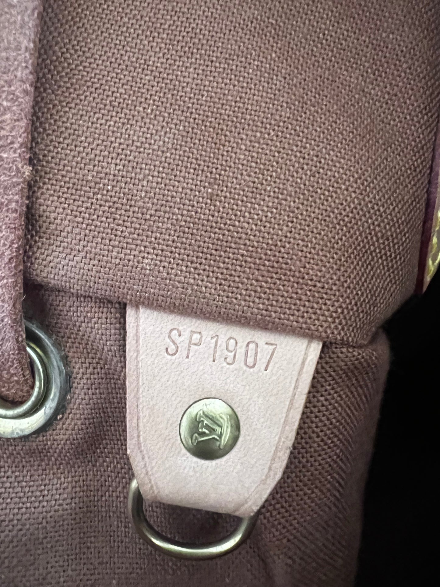 Louis Vuitton Montsouris Backpack MM