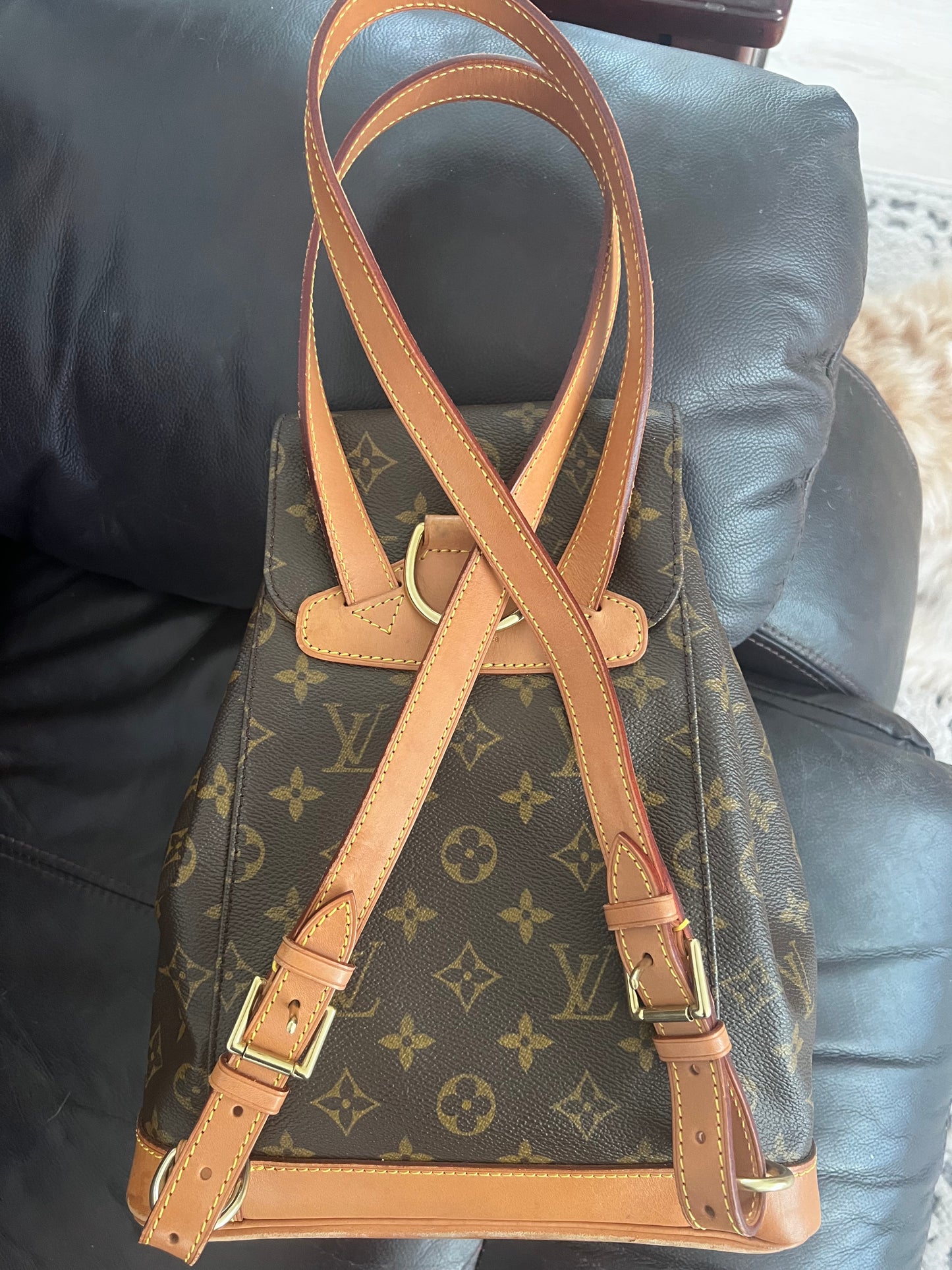 Louis Vuitton Montsouris Backpack MM