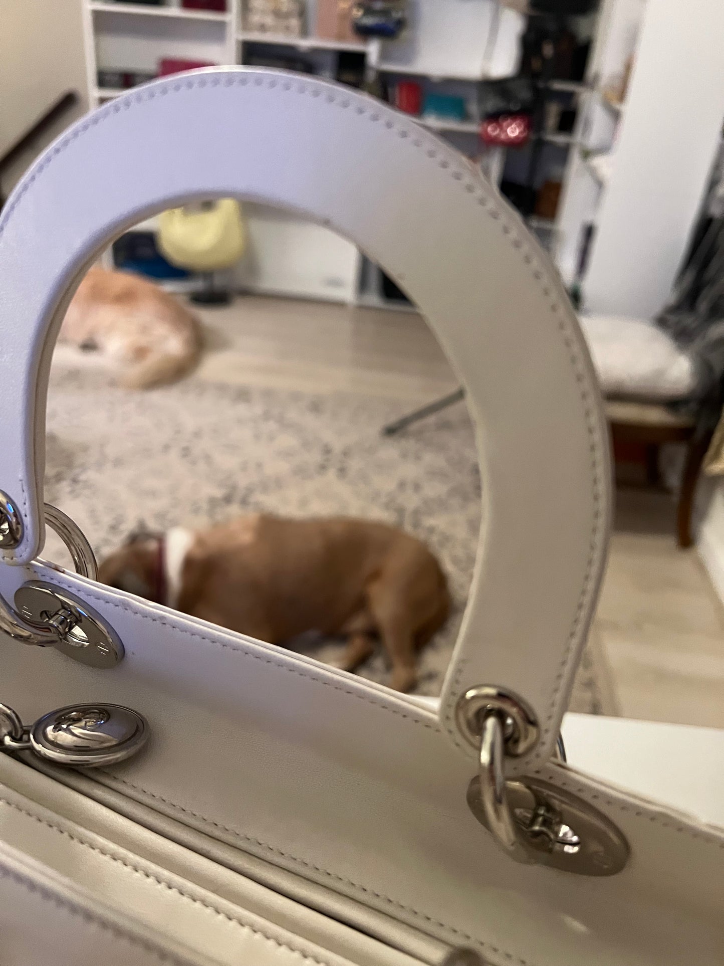 Lady Dior Limited Edition Sequin and Embroidered