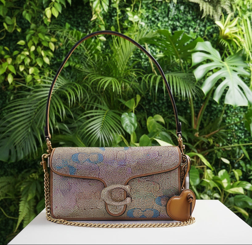 PREVIEW-DROP NEXT TIKTOK LIVE-Coach Rainbow Crystal Tabby 26