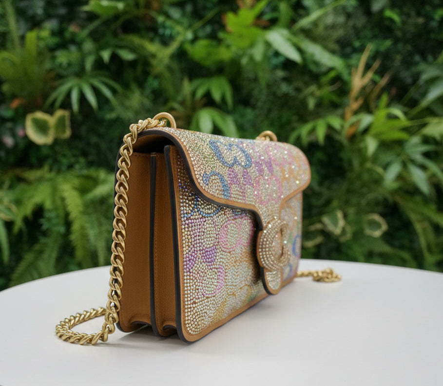 PREVIEW-DROP NEXT TIKTOK LIVE-Coach Rainbow Crystal Tabby 26