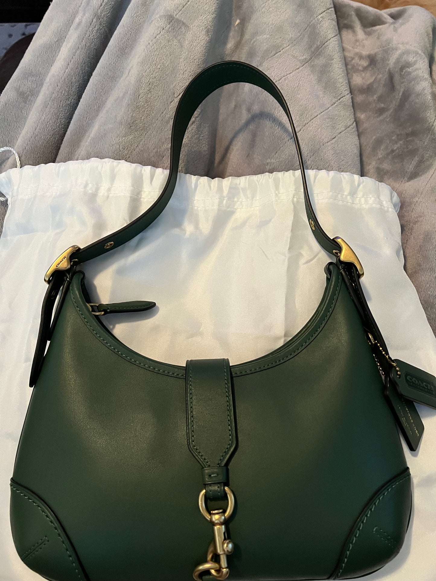 Coach Green Leather Hampton