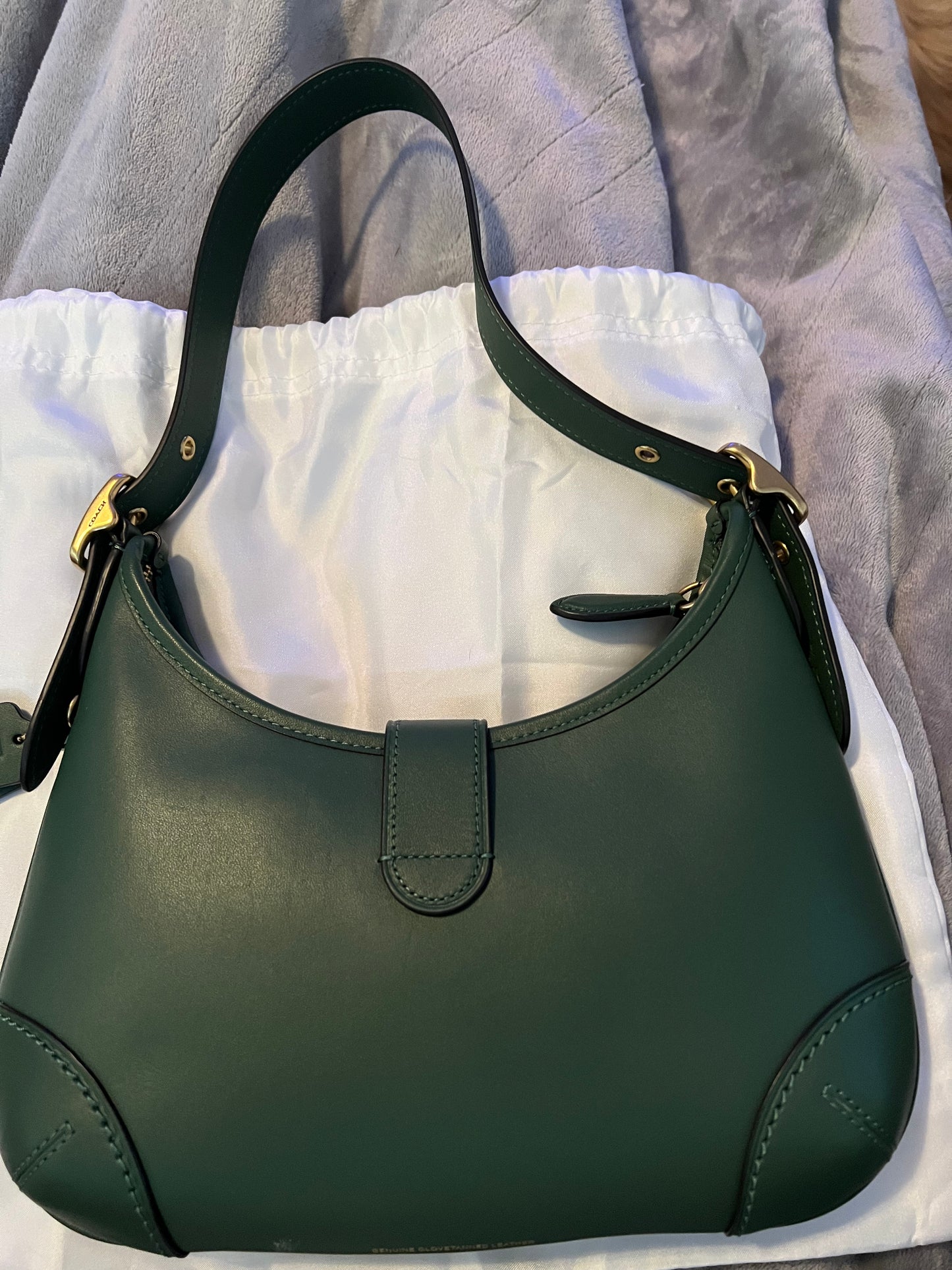 Coach Green Leather Hampton