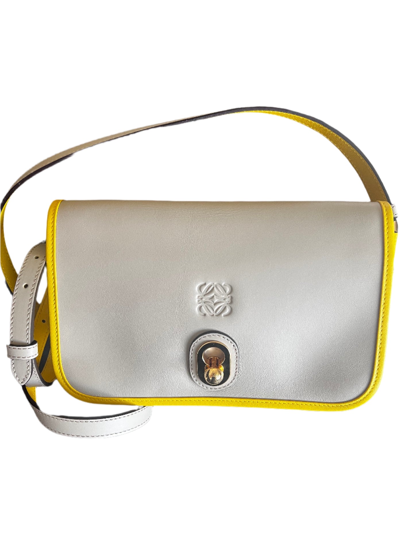 Loewe Gray and Yellow Ines Crossbody Bag