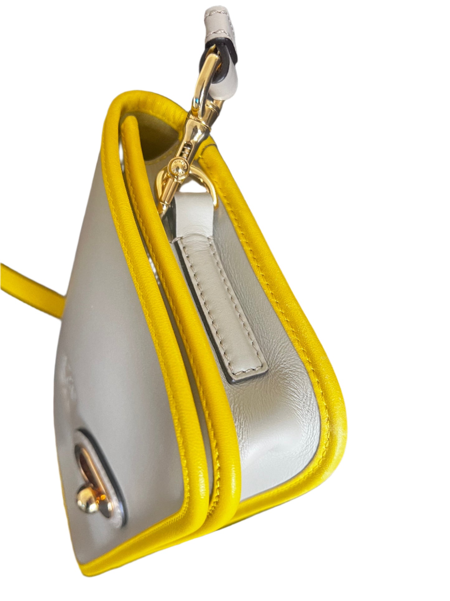 Loewe Gray and Yellow Ines Crossbody Bag