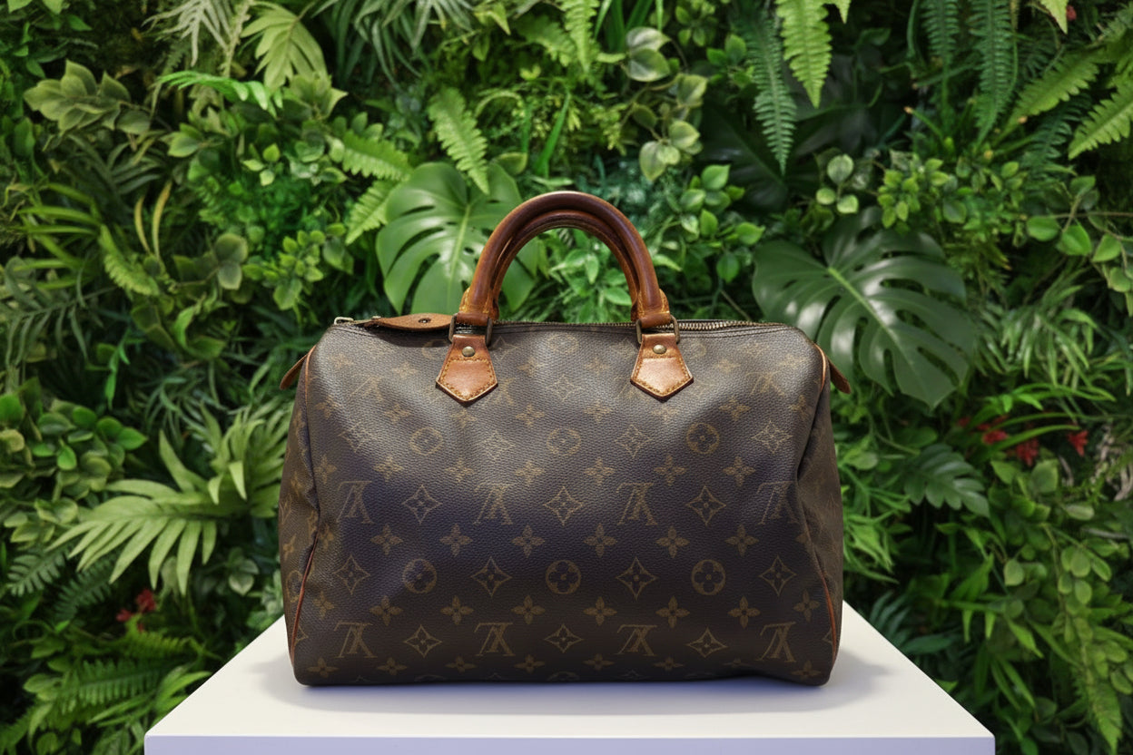 Louis Vuitton Speedy 30