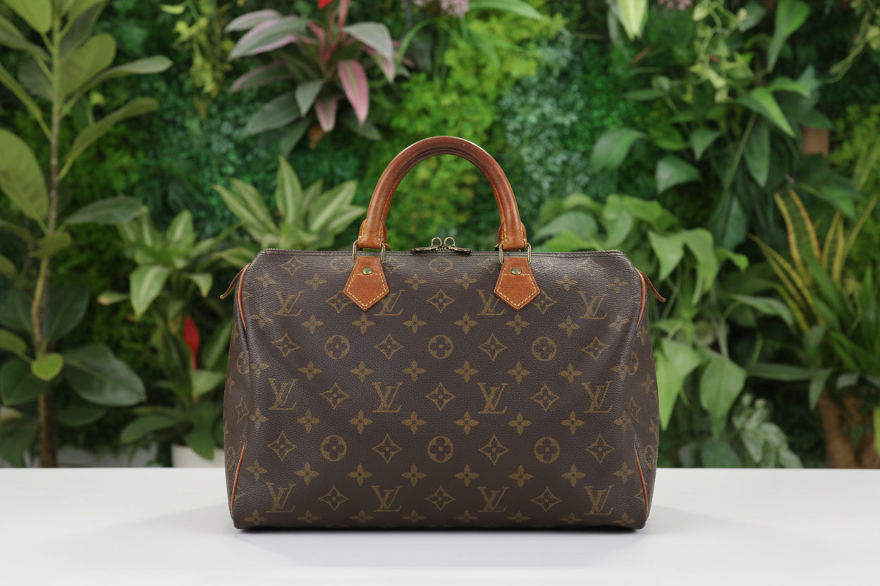 Louis Vuitton Speedy 30