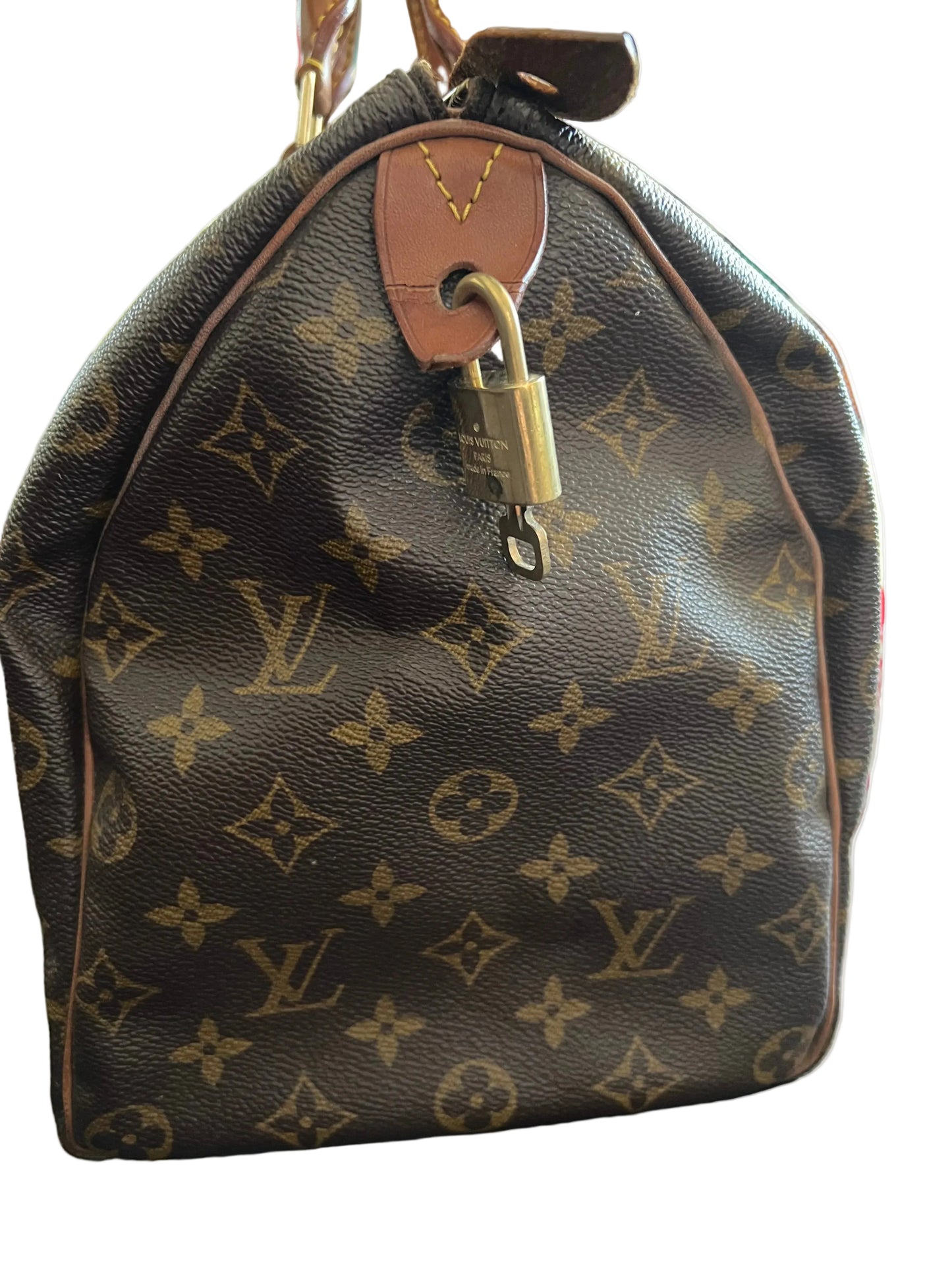 Louis Vuitton Speedy 35