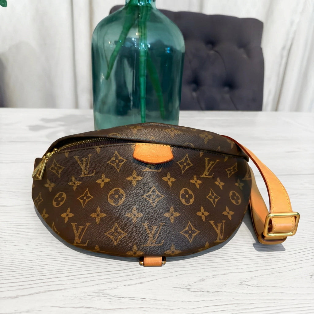 Louis Vuitton Monogram Bumbag