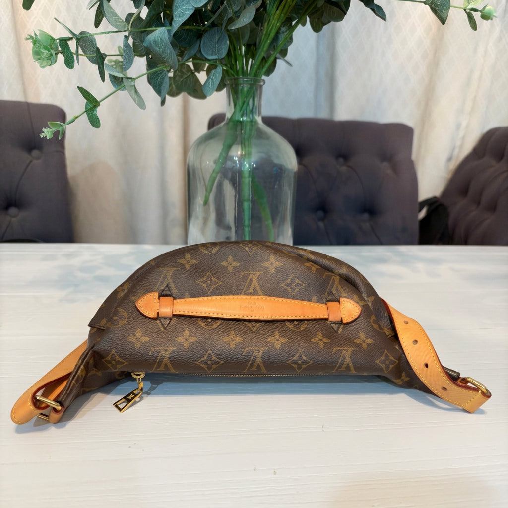 Louis Vuitton Monogram Bumbag
