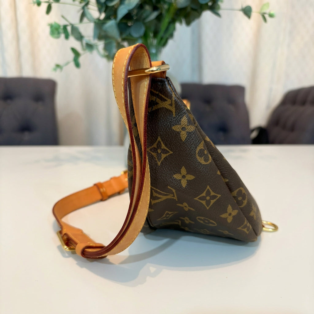 Louis Vuitton Monogram Bumbag