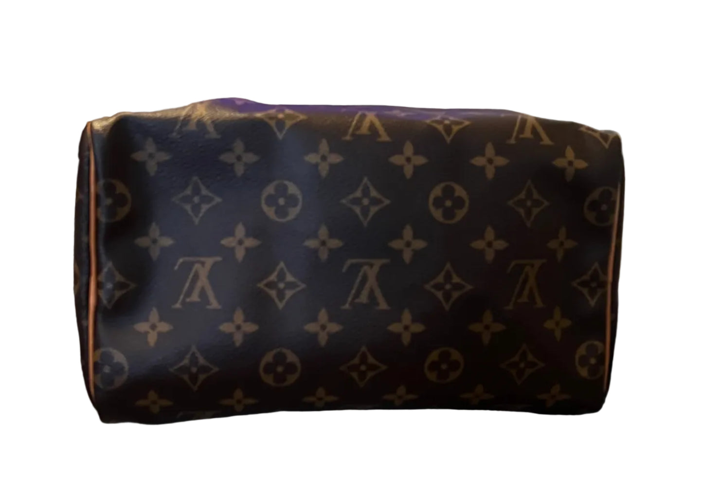 Louis Vuitton Monogram Speedy 25