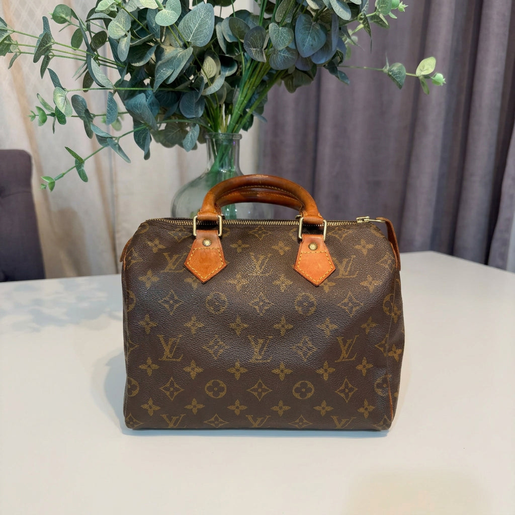 Louis Vuitton Monogram Speedy 25 1995
