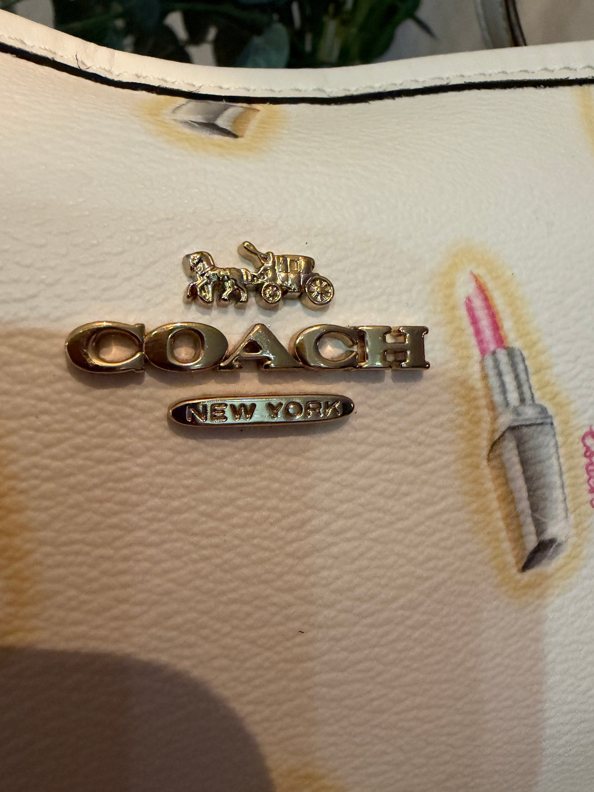 Coach Lipstick Print City Tote w/ Matching Zip Wallet