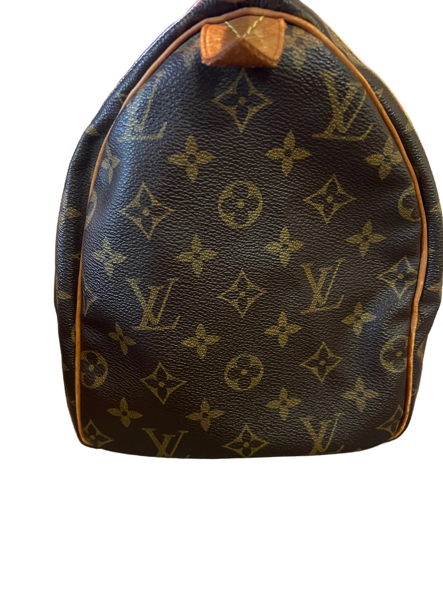 Louis Vuitton Monogram Speedy 30