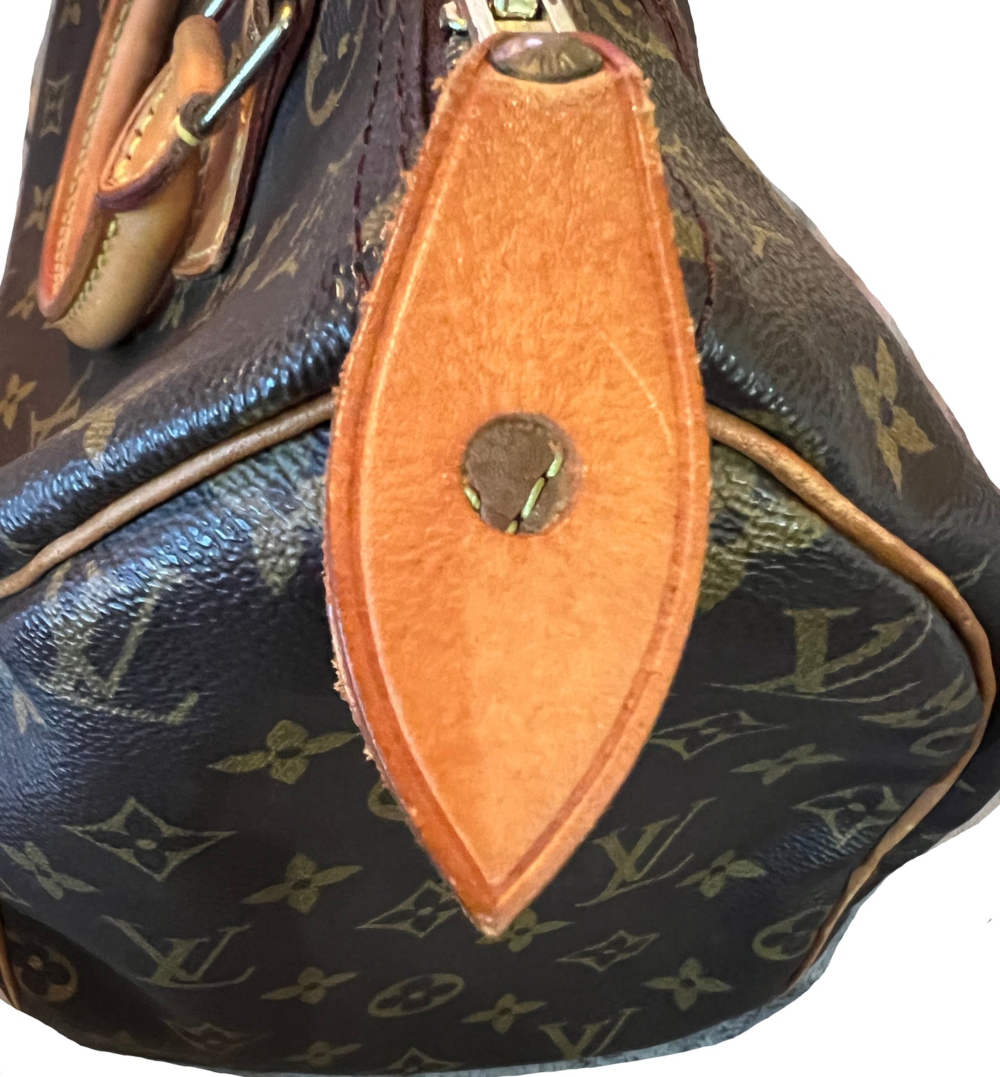 Louis Vuitton Monogram Speedy 30