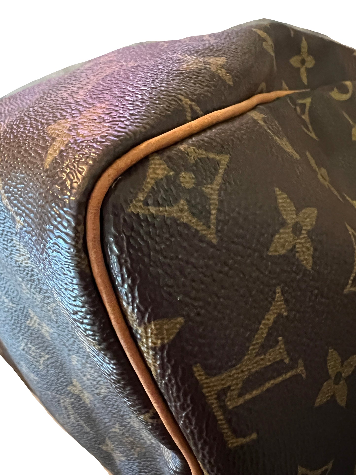 Louis Vuitton Monogram Speedy 30