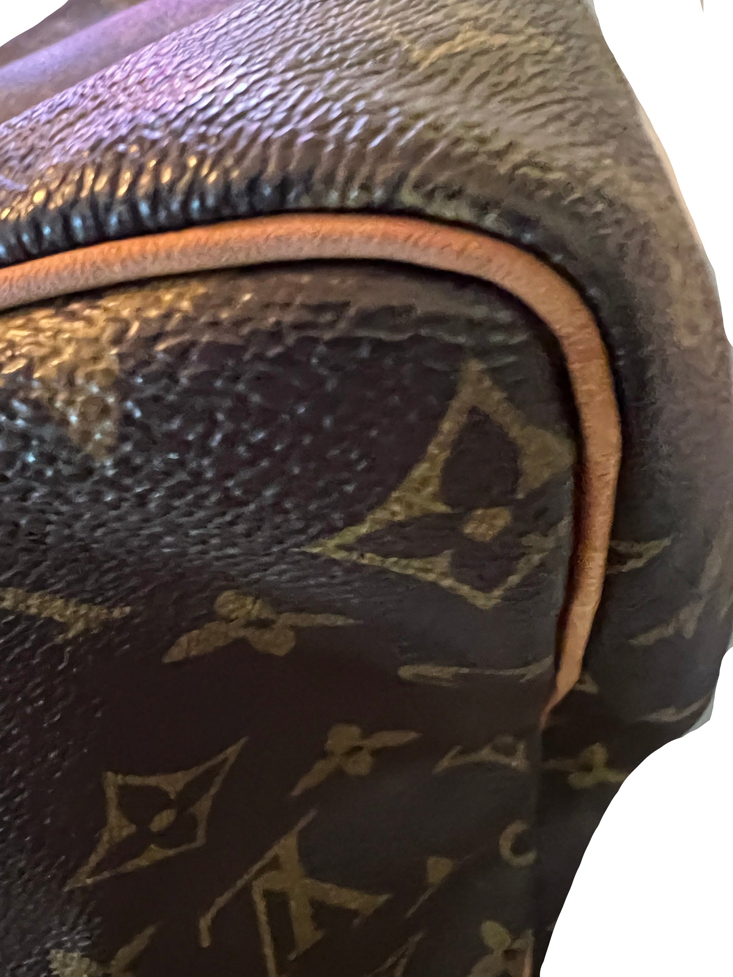 Louis Vuitton Monogram Speedy 30