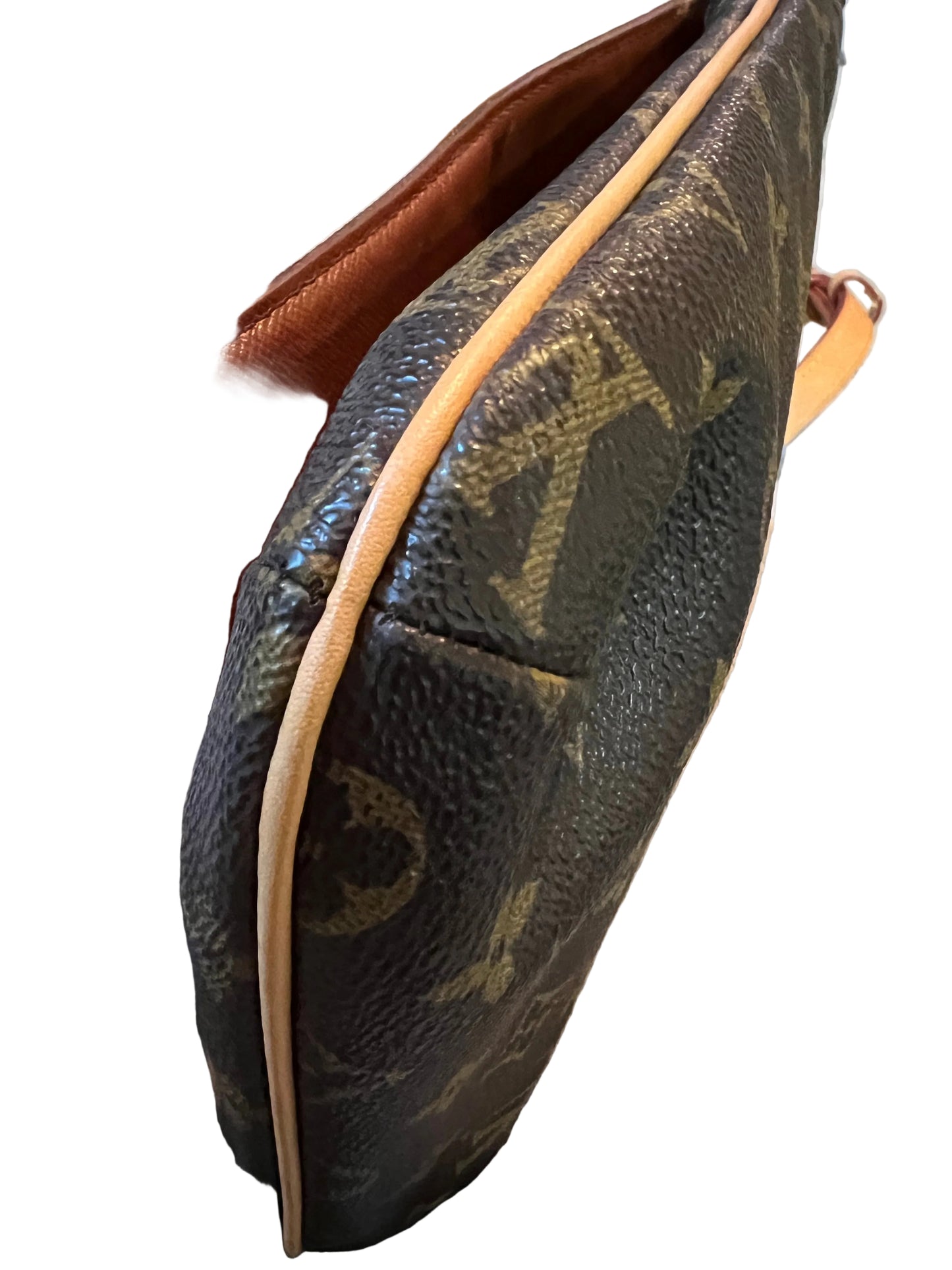 Louis Vuitton Monogram Salsa