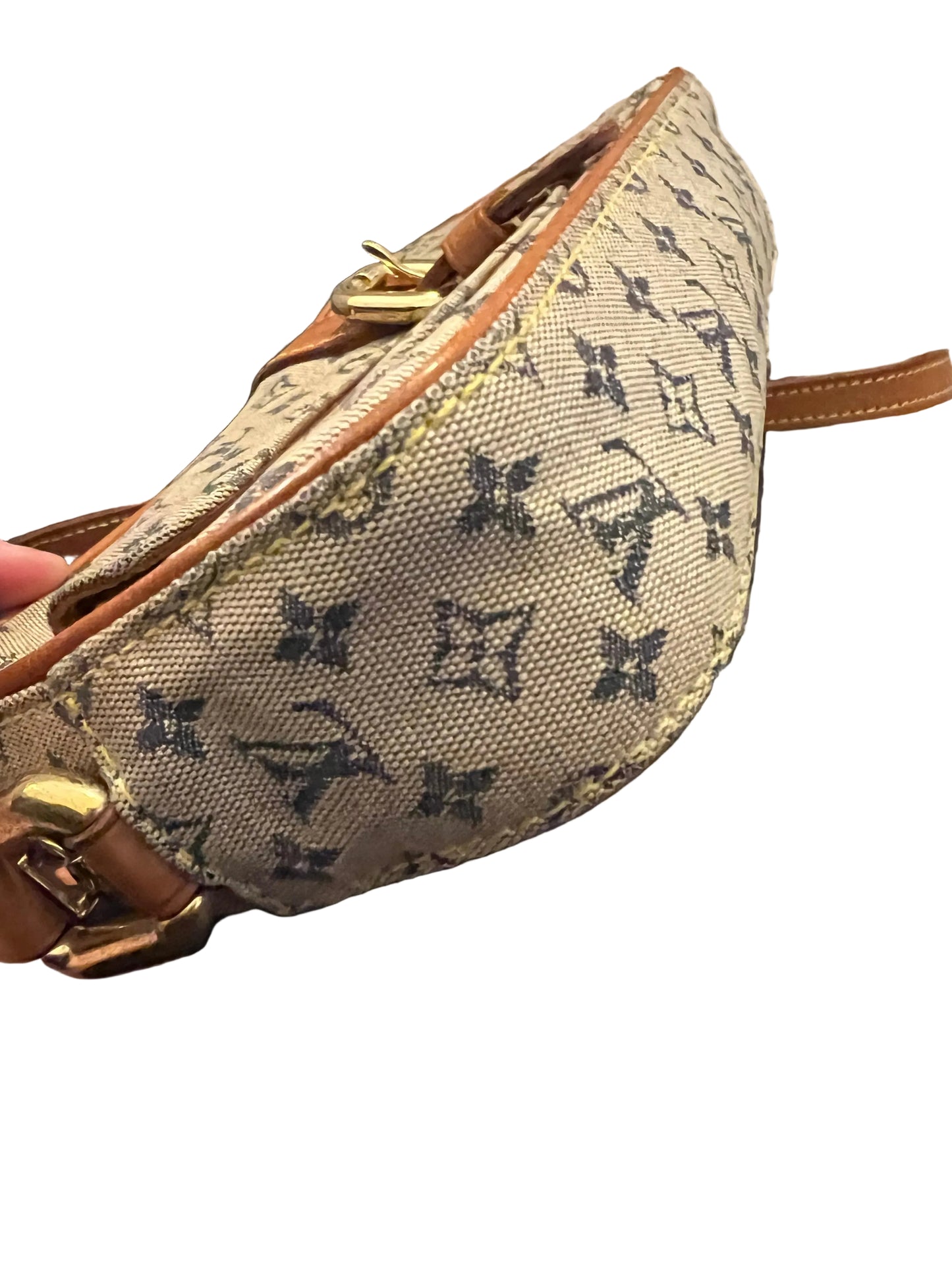 Louis Vuitton Mini Lin Camera Bag