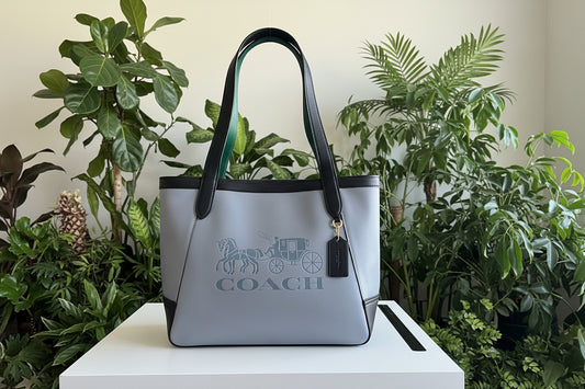 PREVIEW-DROP NEXT TIKTOK LIVE-Coach Colorblock Horse & Carriage Embossed Tote