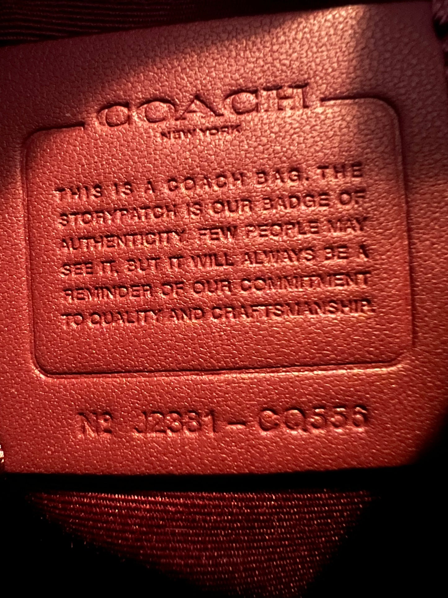Coach Purple Sequin Teri