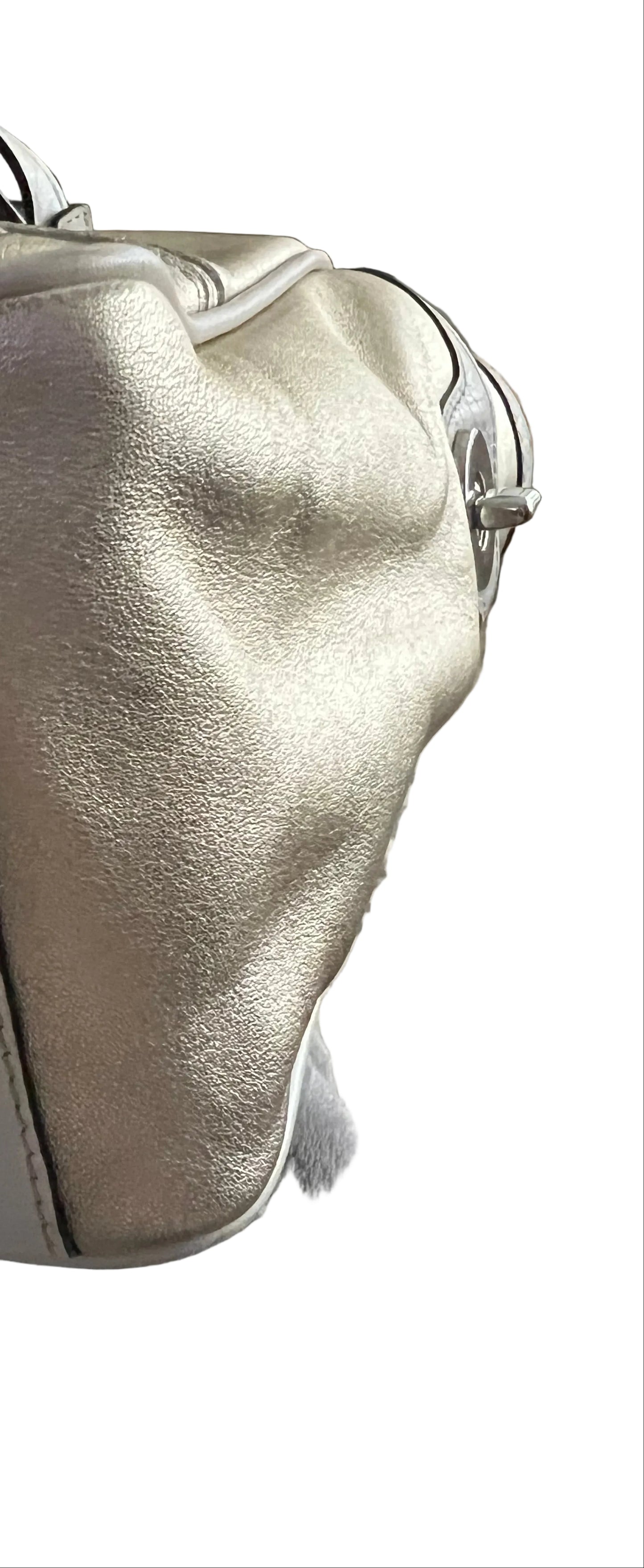 Coach Metallic Gallery Tote